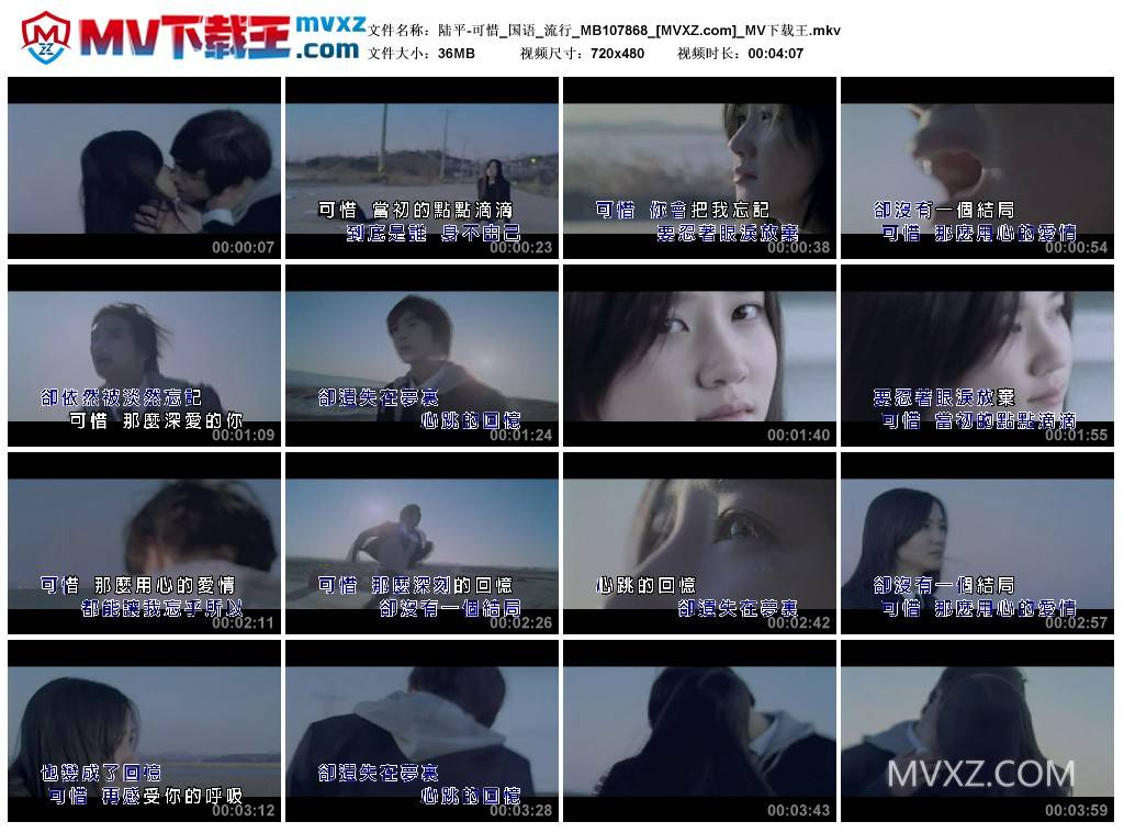 陆平-可惜_国语_流行_MB107868